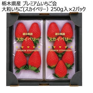 栃木県産 プレミアムいちご会 大粒いちご(スカイベリー) 250g入×2パック【お届け期間:1月7日〜3月31日】【KN】