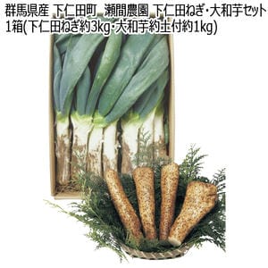 群馬県産 下仁田町 瀬間農園 下仁田ねぎ・大和芋セット 1箱(下仁田ねぎ約3kg・大和芋約土付約1kg)【お届け期間:12月1日〜12月25日】【KN】