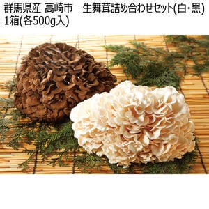 群馬県産 高崎市 (株)キノコわ-るど 生舞茸詰め合わせセット(白・黒) 1箱(各500g入り)【お届け期間:11月10日〜12月25日】【KN】