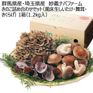 群馬県産・埼玉県産 妙義ナバファーム きのこ詰め合わせセット(菌床生しいたけ・舞茸・きくらげ) 1箱【お届け期間:11月20日〜1月8日】【KN】