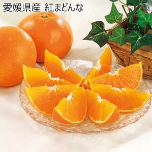 愛媛県産 紅まどんな(お届け期間：11/25〜12/31)【冬の贈りもの・お歳暮】