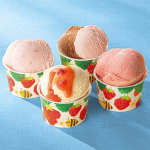 博多あまおうのこだわりアイス【冬の贈りもの・お歳暮】[AH-ABR]