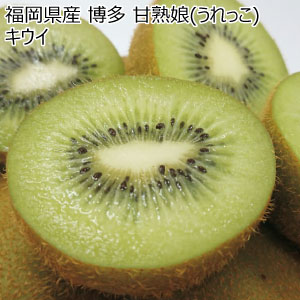 福岡県産 博多 甘熟娘(うれっこ)キウイ(お届け期間：12/11〜12/28)【冬の贈りもの・お歳暮】