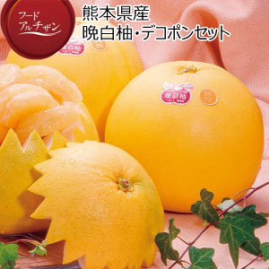 熊本県産 晩白柚・デコポンセット(お届け期間：11/11〜12/30)【冬の贈りもの・お歳暮】