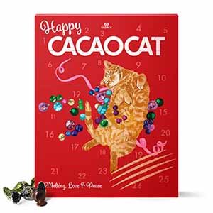 DADACA CACAOCAT アドベントカレンダー (チョコレート25個入)【イオンのクリスマス】