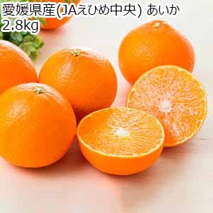 愛媛県産(JAえひめ中央) あいか 2.8kg【限定1000点】【お届け期間：11月20日〜12月28日】【ブラックフライデー】
