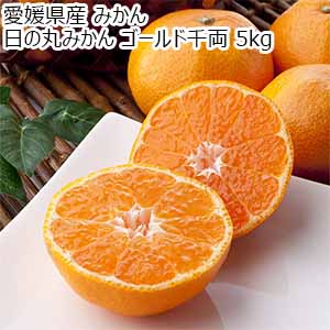 愛媛県産 みかん 日の丸みかん ゴールド千両 5kg【限定200点】【お届け期間：11月20日〜12月28日】【ブラックフライデー】