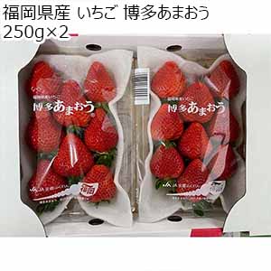 福岡県産 いちご 博多あまおう 250g×2【限定1000点】【お届け期間：12月1日〜12月20日】【ブラックフライデー】