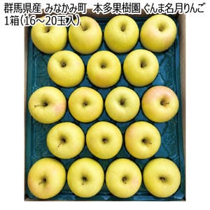 群馬県産 みなかみ町 本多果樹園 ぐんま名月りんご 1箱(16〜20玉入り)【お届け期間:11月20日〜12月20日】【KN】