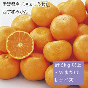 愛媛県産(JAにしうわ)西宇和みかん計5kg以上・MまたはLサイズ(緑○)【お届け期間:11月15日〜12月28日】【従業員感謝WEEK】【NN】