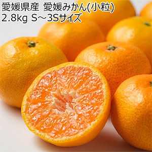 愛媛県産 愛媛みかん(小粒) 2.8kg S〜3Sサイズ【お届け期間:11月20日〜12月28日】【NN】