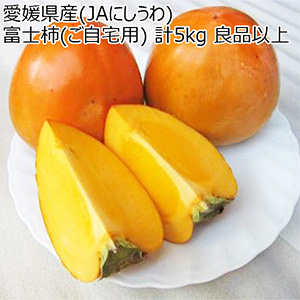 愛媛県産(JAにしうわ) 富士柿(ご自宅用) 計5kg 良品以上 4L〜2Lサイズ【お届け期間:11月2日〜12月10日】【NN】