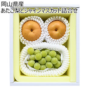 岡山県産 あたご梨とシャインマスカット詰合せ あたご梨2玉(500g×2)・シャインマスカット1房(600g)【お届け期間:11月15日〜12月25日】【NN】