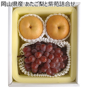 岡山県産 あたご梨と紫苑詰合せ あたご梨2玉(500g×2)・紫苑1房(600g)【お届け期間:11月21日〜12月10日】【NN】