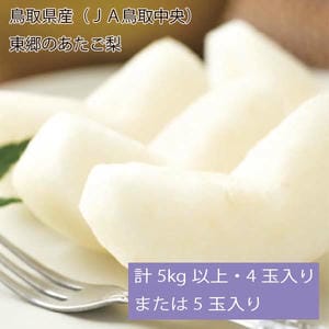 鳥取県産(JA鳥取中央)東郷のあたご梨計5kg以上・4玉入りまたは5玉入り【お届け期間:12月2日〜12月23日】【旬鮮便】【NN】