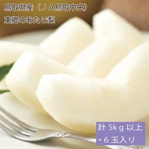 鳥取県産(JA鳥取中央)東郷のあたご梨計5kg以上・6玉入り【お届け期間:12月2日〜12月23日】【旬鮮便】【NN】