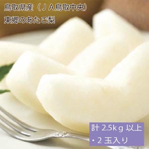 鳥取県産(JA鳥取中央)東郷のあたご梨計2.5kg以上・2玉入り【お届け期間:12月2日〜12月23日】【旬鮮便】【NN】