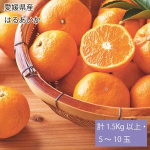 愛媛県産はるあいか計1.5kg以上・5〜10玉【お届け期間:3月1日〜3月20日】【旬鮮便】【NN】