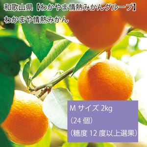 和歌山県産(わかやま情熱みかんグループ)わかまや情熱みかん計2kg以上・Mサイズ(24個)(糖度12度以上選果)【お届け期間:11月15日〜12月22日】【旬鮮便】【NN】