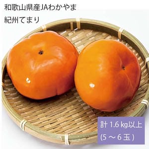 和歌山県産JAわかやま紀州てまり計1.6kg以上(5〜6玉)【お届け期間:11月11日〜11月20日】【旬鮮便】【NN】
