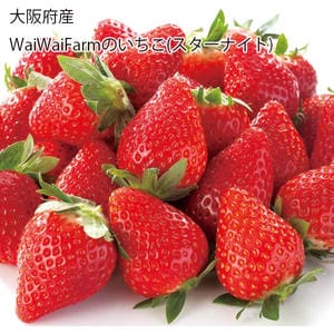 大阪府産WaiWaiFarmのいちご(スターナイト)250g以上 2パック入1箱【お届け期間:2月1日〜2月27日】【旬鮮便】【NN】