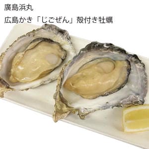 廣島浜丸 広島かき「じごぜん」殻付き牡蠣 殻付き牡蠣10個【お届け期間:11月11日〜1月10日】【旬鮮便】【NN】
