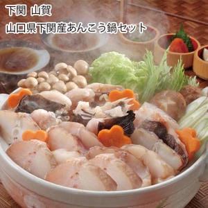 下関 山賀 山口県下関産 あんこう鍋セット あんこう切身350g×2、鍋だし55g×2、ポン酢14g×6、もみじおろし2.5g×6【お届け期間:11月11日〜1月10日】【旬鮮便】【NN】