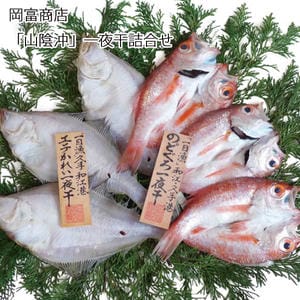 島根 岡富商店 「山陰沖」一夜干詰合せ のどぐろ3〜4枚(計200g)、えてかれい3〜4枚(計300g)【お届け期間:11月11日〜1月10日】【旬鮮便】【NN】