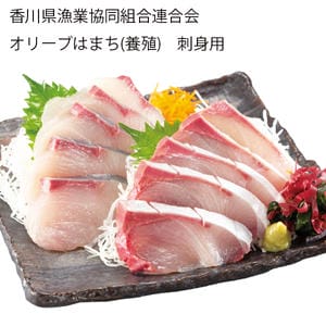 香川県漁業協同組合連合会 オリーブはまち(養殖) 刺身用 1枚フィーレ(片身分)1.2kg【お届け期間:11月11日〜12月20日】【旬鮮便】【NN】