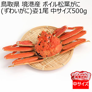 鳥取県 境港産 ボイル松葉がに(ずわいがに)姿1尾 (中サイズ500g)【限定100点】【お届け期間：12月11日〜12月23日】【冬の贈りもの・お歳暮】