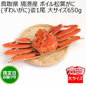 鳥取県 境港産 ボイル松葉がに(ずわいがに)姿1尾 大サイズ650g【おいしいお取り寄せ】