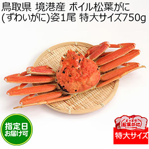 鳥取県 境港産 ボイル松葉がに(ずわいがに)姿1尾 特大サイズ750g【おいしいお取り寄せ】