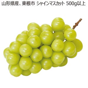 山形県産、東根市 シャインマスカット 秀品、1房、500g以上【お届け期間:10月26日〜12月30日】【MK】