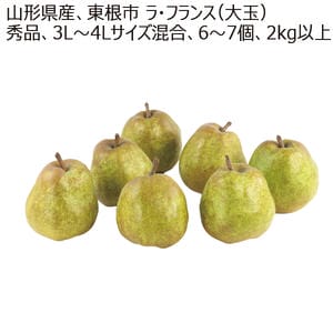 山形県産、東根市 ラ・フランス(大玉) 2kg、6〜7個【お届け期間:11月1日〜12月23日】【MK】