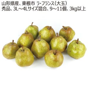 山形県産、東根市 ラ・フランス(大玉) 3kg、9〜11個【お届け期間:11月1日〜12月24日】【MK】