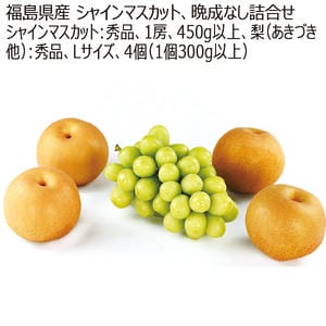 福島県産 シャインマスカット、晩生なし、詰合せ シャインマスカット、1房、梨、4個【お届け期間:11月1日〜12月10日】【MK】