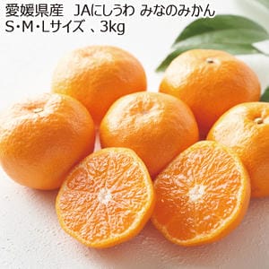 愛媛県産 JAにしうわ みなのみかん S・M・Lサイズ 3kg【お届け期間:11月20日〜12月28日】【MK】