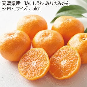 愛媛県産 JAにしうわ みなのみかん S・M・Lサイズ 5kg【お届け期間:11月20日〜12月28日】【MK】
