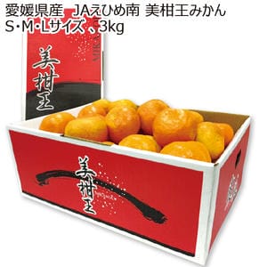 愛媛県産 JAえひめ南 美柑王みかん S・M・Lサイズ 3kg【お届け期間:11月20日〜12月28日】【MK】