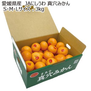 愛媛県産 JAにしうわ 真穴みかん S・M・Lサイズ 3kg【お届け期間:11月20日〜12月28日】【MK】