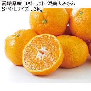 愛媛県産 JAにしうわ 浜美人みかん S・M・Lサイズ 3kg【お届け期間:11月20日〜12月28日】【MK】