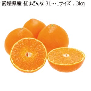愛媛県産 紅まどんな 3L〜Lサイズ 3kg【お届け期間:11月20日〜12月28日】【MK】