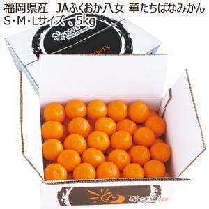福岡県産 JAふくおか八女 華たちばなみかん S・M・Lサイズ 5kg【お届け期間:11月10日〜12月28日】【MK】