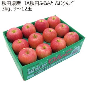 秋田県産 JA秋田ふるさと ふじりんご 3kg (9玉〜12玉)【お届け期間:12月5日〜12月28日】【MK】
