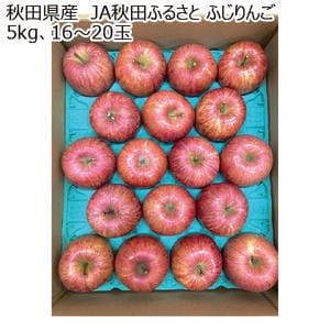 秋田県産 JA秋田ふるさと ふじりんご 5kg (16玉〜20玉)【お届け期間:12月5日〜12月28日】【MK】
