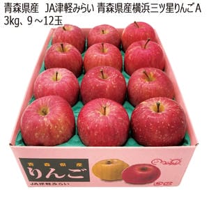 青森県産 JA津軽みらい 横浜三ツ星りんごA 3kg(9玉〜12玉)【お届け期間:12月5日〜12月28日】【MK】