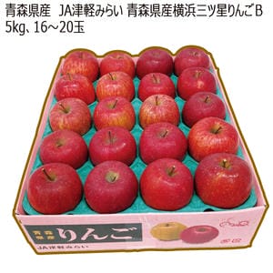 青森県産 JA津軽みらい 横浜三ツ星りんごB 5kg (16玉〜20玉)【お届け期間:12月5日〜12月28日】【MK】
