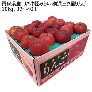 青森県産 JA津軽みらい 横浜三ツ星りんご 10kg(32玉〜40玉)【お届け期間:12月5日〜12月28日】【MK】