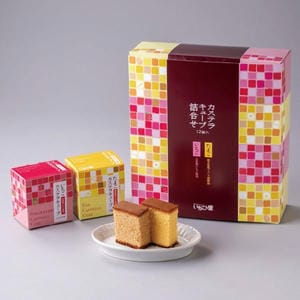 栃木 いちごの里ファーム カステラキューブ詰め合わせ 【冬の贈りもの・お歳暮】【KN】