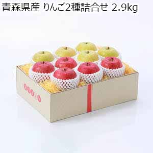青森県産 りんご2種詰合せ 2.9kg【限定200点】【お届け期間:11月24日〜12月28日】【ブラックフライデー】